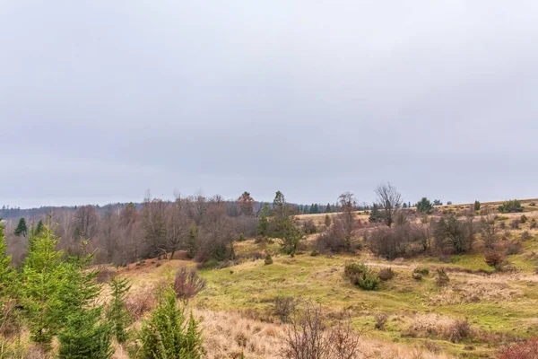 Doğanın güzel manzarası