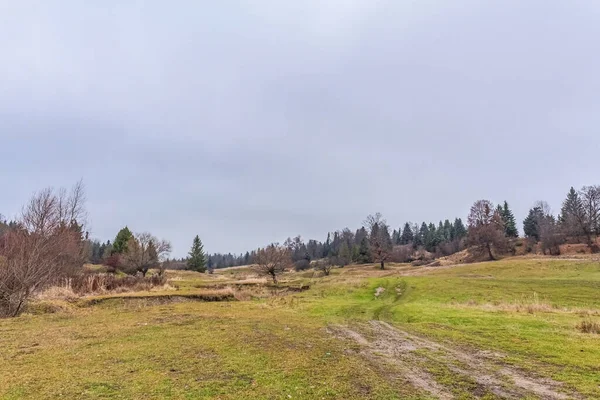 Ağaçlar ve yeşil otlarla dolu sonbahar manzarası