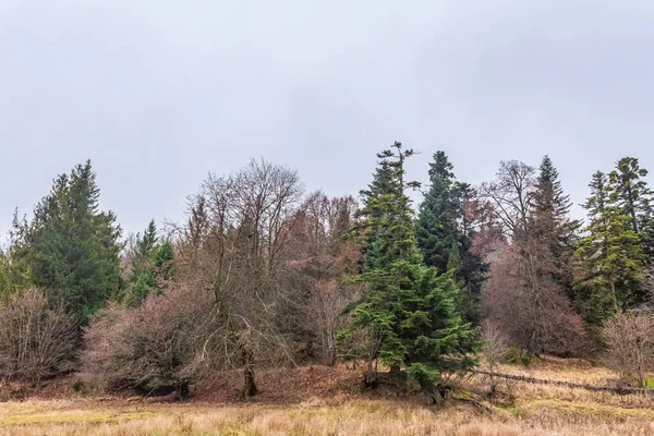 Kırsal manzarası çok güzel.