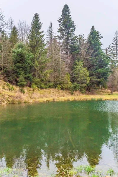 Ormanın kenarında bir göl