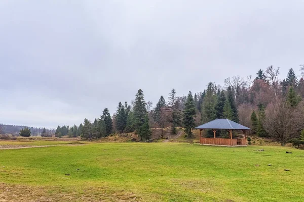 orman içinde ahşap çardak