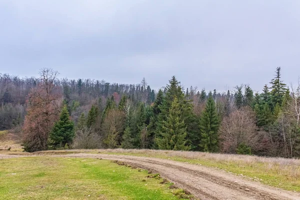Yolları ve ağaçları olan güzel bir sonbahar manzarası.