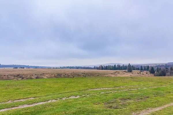 Ormanda bulutlu bir gökyüzü ile sonbahar manzarası.