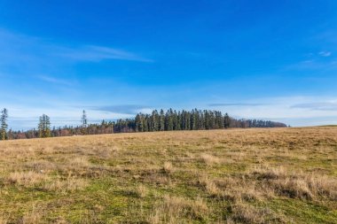 Doğanın güzel manzarası