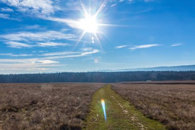 Toprak yolu olan bahar manzarası