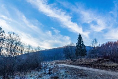 Güzel bir manzara Ağacı ve mavi gökyüzü