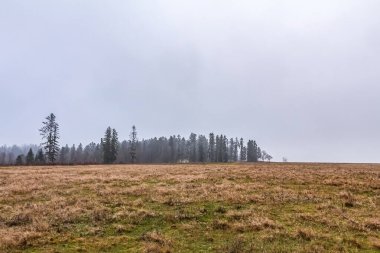 Kışın kar ve dağlarla dolu güzel bir manzara.