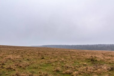 Çimen tarlası ve bulutlu gökyüzü olan güzel kış manzarası.