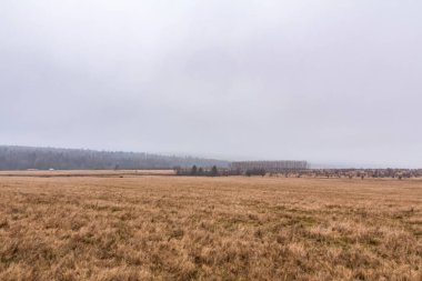 Kırsal kesimde kış manzarası