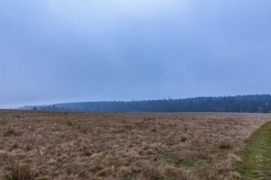 Polonya 'daki güzel kış arazisi