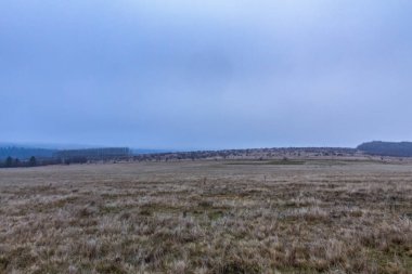 Arkadaki ağaçların güzel bir görüntüsü.