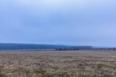 Tarladan manzara, bulutlu bir gökyüzü.