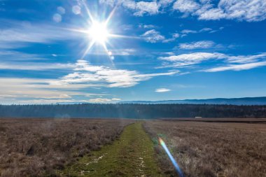Karpat dağlarında ilkbahar manzarası