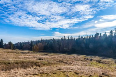 Dağlarda bir orman, sonbahar yatay
