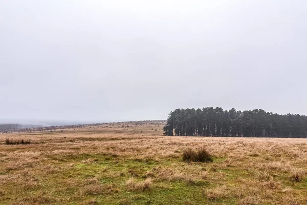 Ülkenin manzarası.