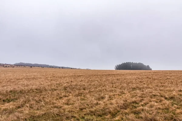 Kırsal alanın güzel sonbahar manzarası