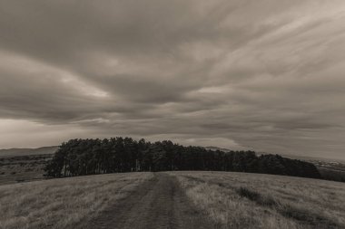 Arkasında bir dağ olan güzel bir manzara.