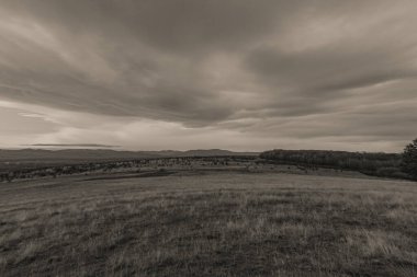 Arkaplanda bulutlu gökyüzü olan bir alanın gri tonlu görüntüsü