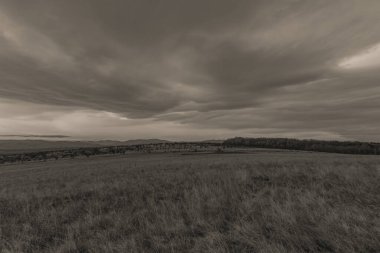 Sonbaharda çimlerin üzerinde koyu bulutlu bir gökyüzü.