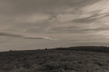 Kırsal kesimde güzel bir sonbahar manzarasının siyah beyaz fotoğrafı.