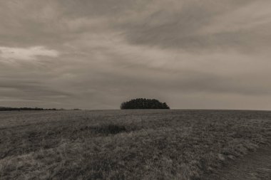 Sonbaharda kırsal alanda güzel bir manzara