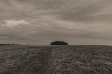 bir alanın siyah beyaz fotoğrafı