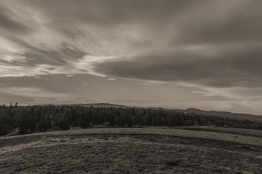 Ağacı ve bulutlu gökyüzü olan güzel bir manzara.