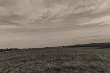 Arkasında bulutlu bir gökyüzü olan güzel bir tarla görüntüsü.