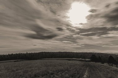 Ormanın üzerinde kara bulutlar
