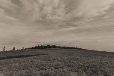 Arka planda ağaçlar ve bulutlar olan manzara. Tek renkli peyzaj. siyah beyaz fotoğraf