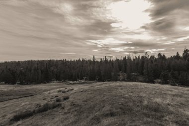 Dağlardaki siyah ve beyaz manzaralar