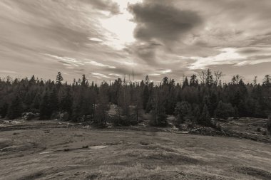 Colorado Ulusal Parkı 'nın kayalık dağlarının güzel manzarası.