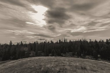 Ağacı ve bulutlu gökyüzü olan güzel bir manzara.