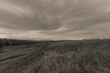 Güzel bir manzaranın siyah beyaz fotoğrafı