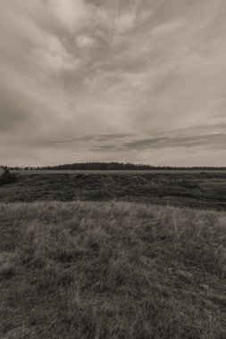Avrupa 'da Letonya' nın kırsal kesiminde güzel bir manzara