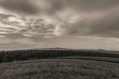 Ağaçlar ve bulutlarla dolu güzel bir manzara.