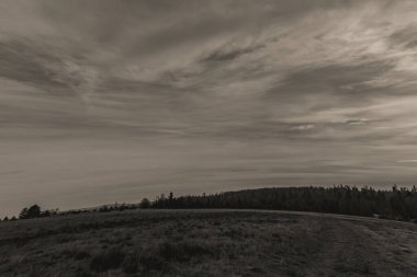 Ağaçlı ve ağaçlı güzel bir manzara.