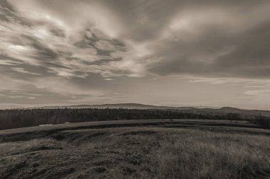 Dağlarda bir ağacı olan güzel bir manzara.