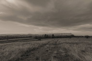 Gün batımında kırsal kesimdeki Czech cumhuriyetinin güzel manzarası