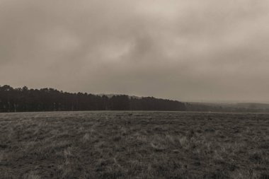 Kırsal kesimde güzel manzara