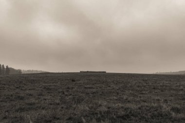 Landscapes, Forest, Carpathians, Photos of nature -Black and white photos, monochrome photos - Europe, Eastern Europe