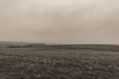 Landscapes, Forest, Carpathians, Photos of nature -Black and white photos, monochrome photos - Europe, Eastern Europe