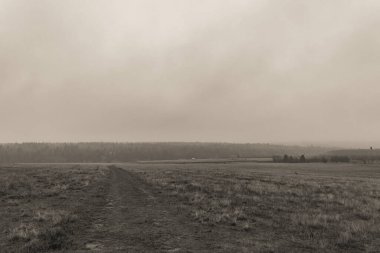 Landscapes, Forest, Carpathians, Photos of nature -Black and white photos, monochrome photos - Europe, Eastern Europe