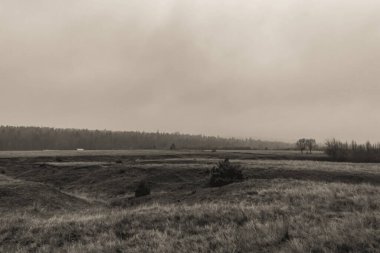 Güzel sisli sonbahar manzarası ve tarlada ağaçlar. Klasik film görüntüsü.