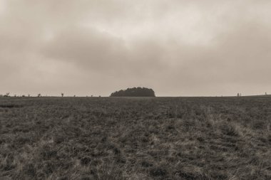 Çiftlik arazisindeki eski ahşap çit