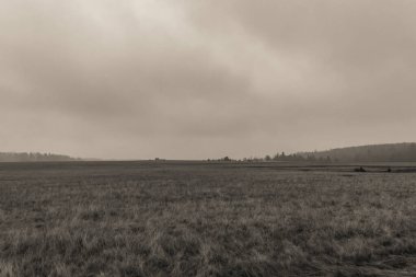 Ormanda buğday tarlası olan sonbahar manzarası, antika ve retro film tarzı