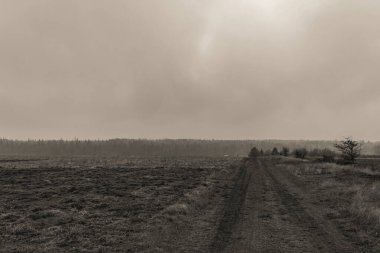 Bir tarlada toprak bir yol