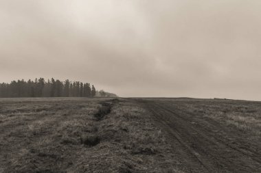 Bir tarlada toprak bir yol