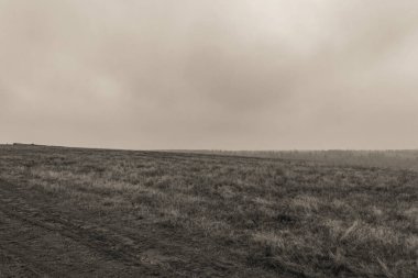 Bulutlu bir günde kırsal bir alanın gri tonlu görüntüsü.