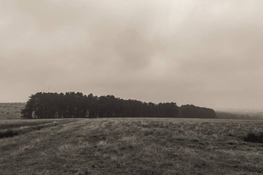sonbaharda siyah ve beyaz manzara, İngiltere